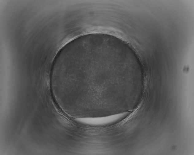 X0000097851505200803281235