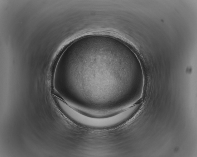 X0000097851506200803281235