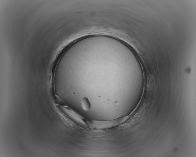 X0000097851507200803281235