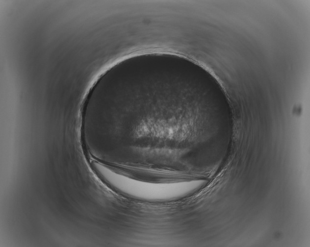 X0000097851508200803281235