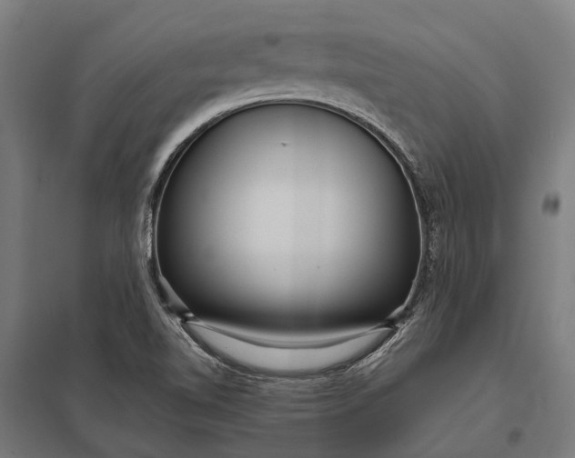 X0000097851510200803281235