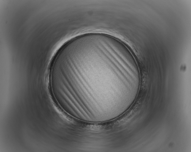 X0000097851511200803281235