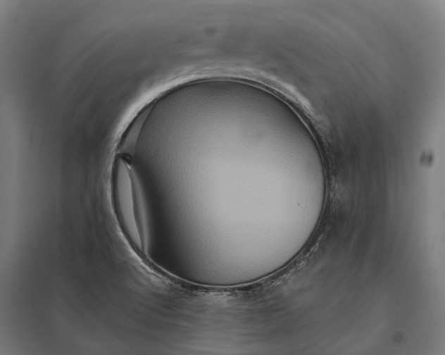 X0000097851512200803281235