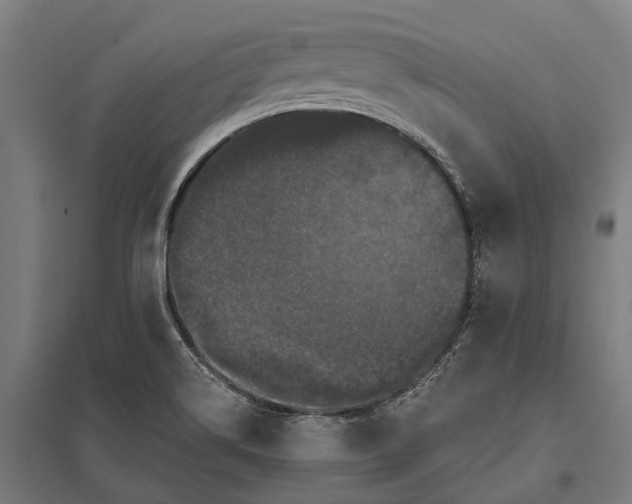 X0000097851514200803281235