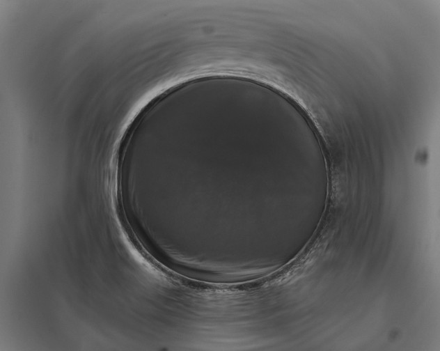 X0000097851515200803281235