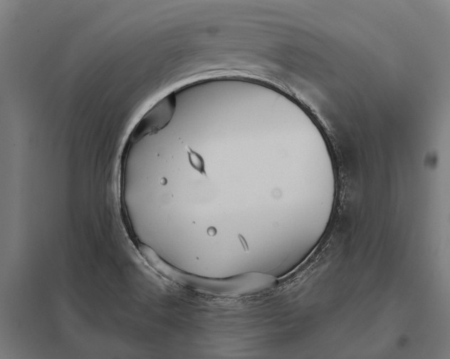 X0000097851516200803281235