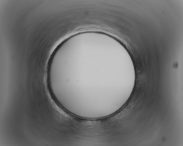 X0000097851518200803281235