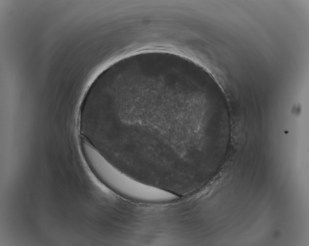 X0000097851519200803281235