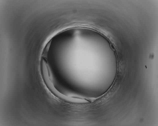 X0000097851520200803281235