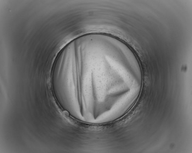 X0000097851521200803281235