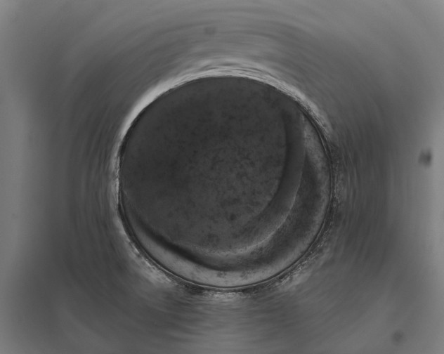 X0000097851522200803281235