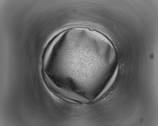 X0000097851523200803281235