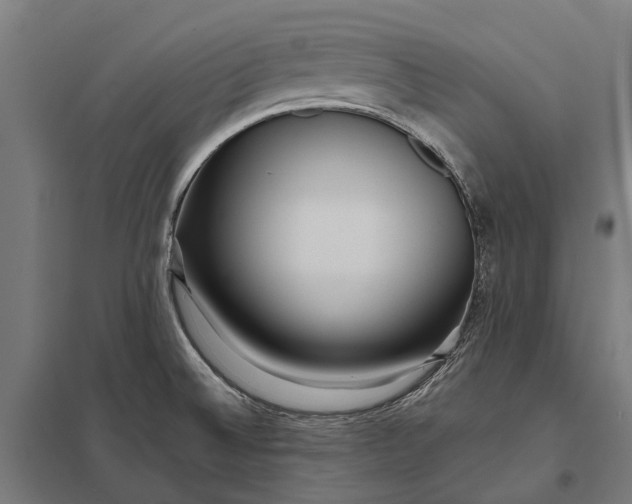 X0000097851524200803281235