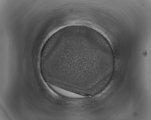 X0000097851525200803281235