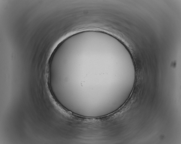 X0000097851526200803281235