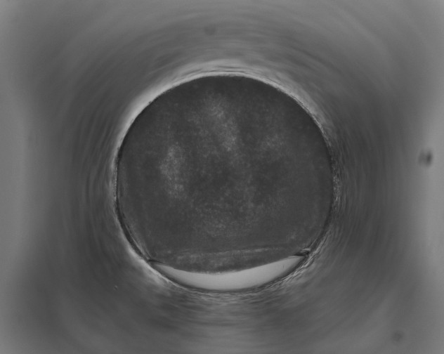 X0000097851527200803281235