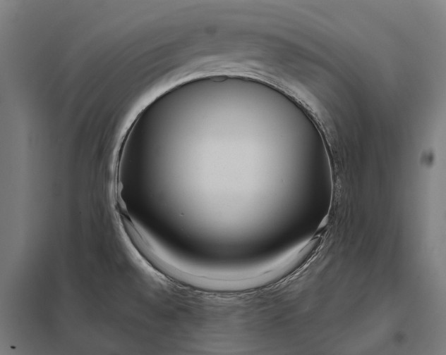 X0000097851528200803281235