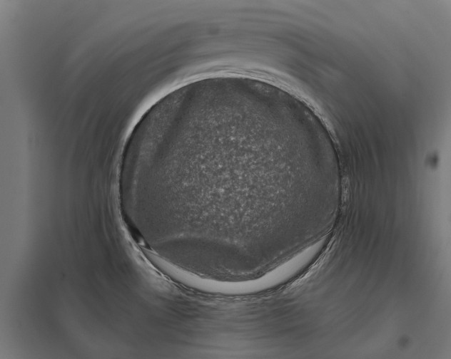 X0000097851530200803281235