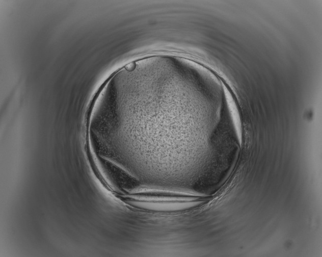 X0000097851531200803281235