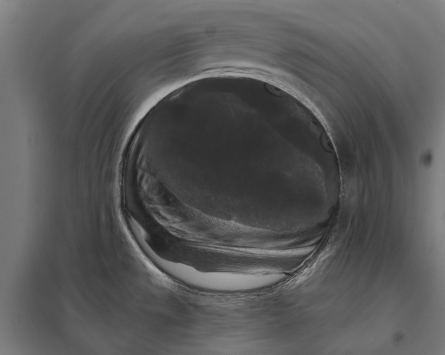 X0000097851533200803281235