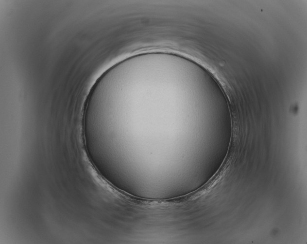 X0000097851534200803281235