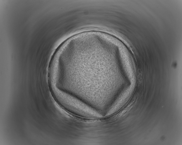 X0000097851535200803281236