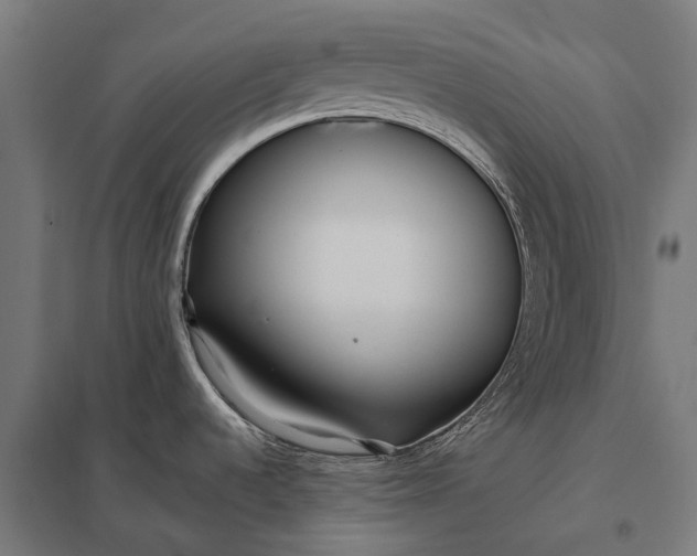 X0000097851536200803281236