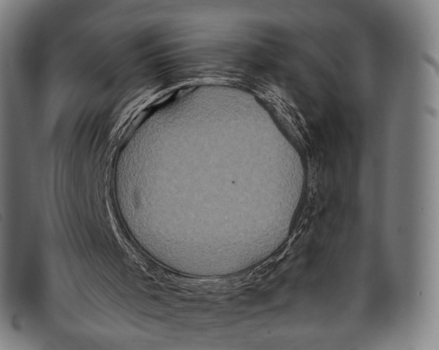 X0000097850001200804041517