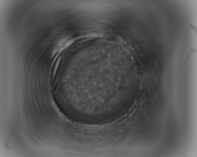 X0000097850002200804041517