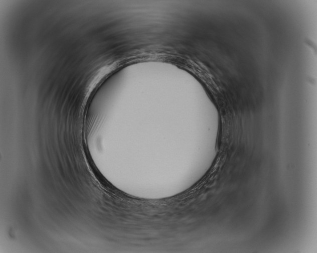 X0000097850003200804041517