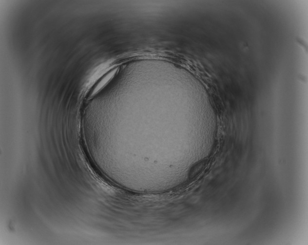 X0000097850005200804041517