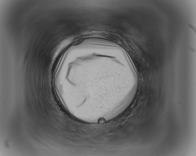 X0000097850006200804041517