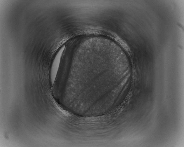 X0000097850009200804041517