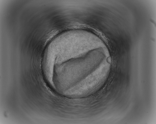 X0000097850010200804041517