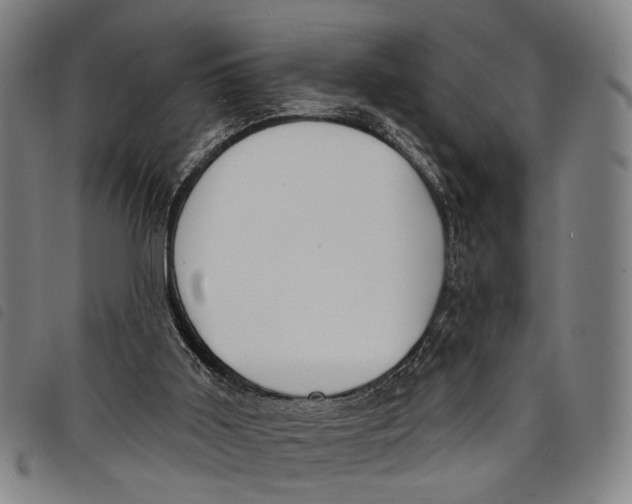 X0000097850011200804041517