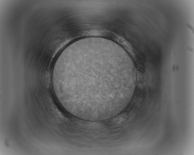 X0000097850012200804041517