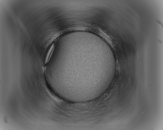 X0000097850013200804041516