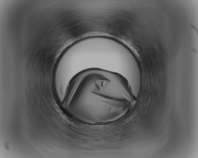 X0000097850015200804041516