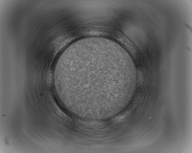 X0000097850016200804041516