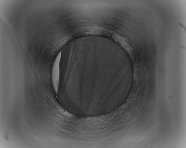 X0000097850017200804041516