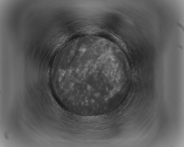 X0000097850018200804041516