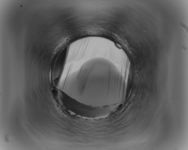 X0000097850019200804041516