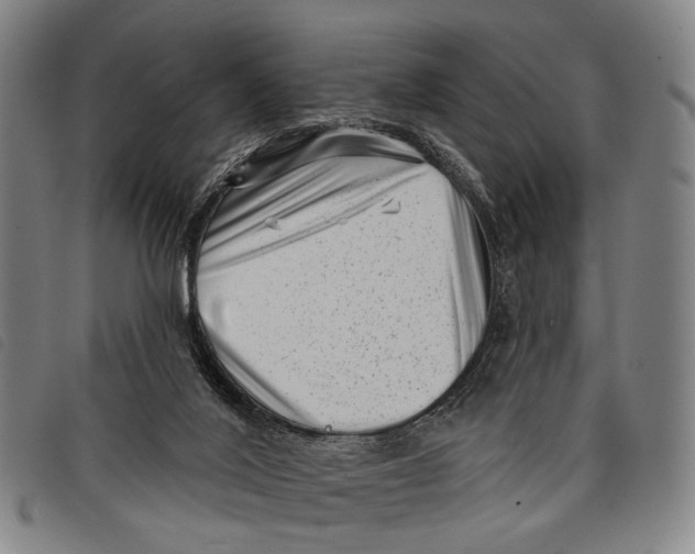 X0000097850020200804041516