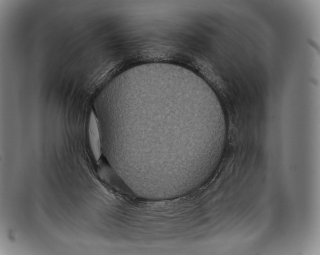 X0000097850021200804041516