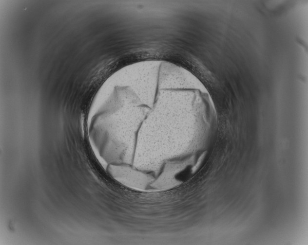 X0000097850022200804041516