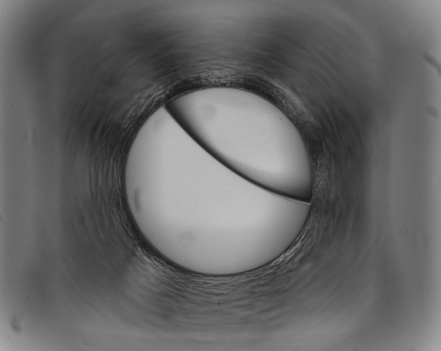 X0000097850025200804041516