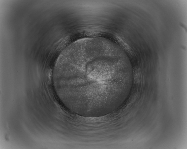 X0000097850026200804041516