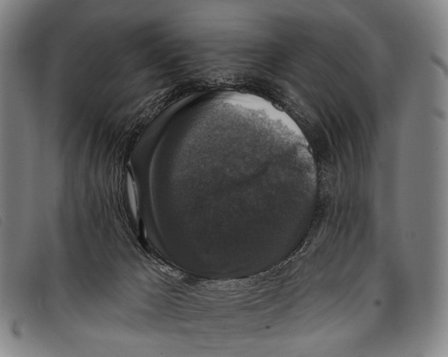 X0000097850029200804041516