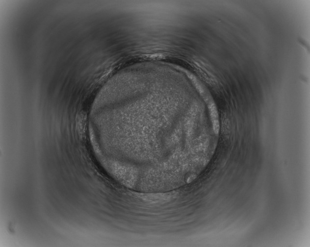 X0000097850030200804041516