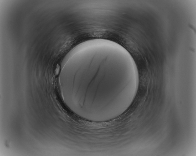 X0000097850031200804041516